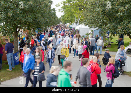 Southport Flower Show, Merseyside, England. 21. August 2016: wie das gute Wetter über der Southport Flower Show zurück, die Massen strömen in denn der heutigen großen Ausverkauf.  Die fantastischen vier Tag Gartenbau Event geht zu Ende am späten Nachmittag mit Schnäppchen in Hülle und Fülle zu gewinnen.  Vom Handwerk waren und Kleidung zu den exotischsten Pflanzen ist es wirklich für jeden etwas dabei.  Kinder werden von "Sonny & Regenbogen" unterhalten, wie Eltern prosecco in der Sonne genießen können.  Bildnachweis: Cernan Elias/Alamy Live-Nachrichten Stockfoto