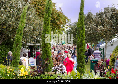 Southport Flower Show, Merseyside, England. 21. August 2016: wie das gute Wetter über der Southport Flower Show zurück, die Massen strömen in denn der heutigen großen Ausverkauf.  Die fantastischen vier Tag Gartenbau Event geht zu Ende am späten Nachmittag mit Schnäppchen in Hülle und Fülle zu gewinnen.  Vom Handwerk waren und Kleidung zu den exotischsten Pflanzen ist es wirklich für jeden etwas dabei.  Kinder werden von "Sonny & Regenbogen" unterhalten, wie Eltern prosecco in der Sonne genießen können.  Bildnachweis: Cernan Elias/Alamy Live-Nachrichten Stockfoto