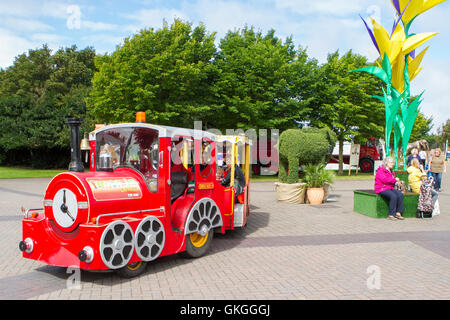 Southport Flower Show, Merseyside, England. 21. August 2016: wie das gute Wetter über der Southport Flower Show zurück, die Massen strömen in denn der heutigen großen Ausverkauf.  Die fantastischen vier Tag Gartenbau Event geht zu Ende am späten Nachmittag mit Schnäppchen in Hülle und Fülle zu gewinnen.  Vom Handwerk waren und Kleidung zu den exotischsten Pflanzen ist es wirklich für jeden etwas dabei.  Kinder werden von "Sonny & Regenbogen" unterhalten, wie Eltern prosecco in der Sonne genießen können.  Bildnachweis: Cernan Elias/Alamy Live-Nachrichten Stockfoto