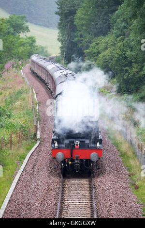 Galashiels, grenzt an Bahn, Stechginster Brücke, UK. 21. August 2016. Dampfzug auf Grenzen Eisenbahn. Eine spezielle laufen auf der Bahn Grenzen an Sonntagen im August und September, hier auf seiner Rückreise von Tweedbank nach Edinburgh Waverley abgebildet hier abgebildet die Klasse 67 Diesel Electric locomotive 67009 im englischen Welsh und Scottish Railway Livree der Kutschen und Dampfmaschine 46100 zieht Dampf zurück nach Edinburgh Waverley "The Royal Scot". (Foto: Rob Gray) Bildnachweis: Rob Gray/Alamy Live-Nachrichten Stockfoto