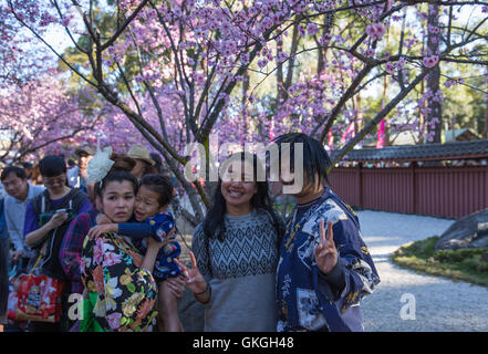 Sydney, Australien. 21. August 2016. Menschen posieren für Fotos mit Kirschblüten in Auburn Botanic Gardens in Sydney, Australien, am 21. August 2016. Die Sydney Cherry Blossom Festival 2016, statt an zwei Wochenenden im August, wird mit der japanischen Kultur, Essen, Musik und Aufführungen in Auburn Botanic Gardens platzen. Bildnachweis: Zhu Hongye/Xinhua/Alamy Live-Nachrichten Stockfoto