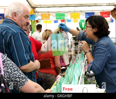 Frosts Chili Festival in Frosts Gartencenter, Willington in der Nähe von Bedford, UK. 21. August 2016. Bildnachweis: KEITH MAYHEW/Alamy Live-Nachrichten Stockfoto