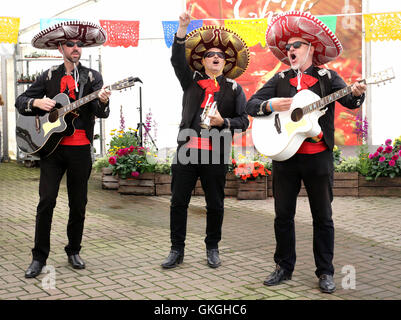 Frosts Chili Festival in Frosts Gartencenter, Willington in der Nähe von Bedford, UK. 21. August 2016. Bildnachweis: KEITH MAYHEW/Alamy Live-Nachrichten Stockfoto