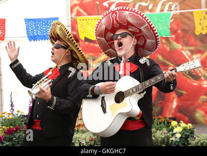 Frosts Chili Festival in Frosts Gartencenter, Willington in der Nähe von Bedford, UK. 21. August 2016. Bildnachweis: KEITH MAYHEW/Alamy Live-Nachrichten Stockfoto