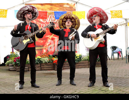 Frosts Chili Festival in Frosts Gartencenter, Willington in der Nähe von Bedford, UK. 21. August 2016. Bildnachweis: KEITH MAYHEW/Alamy Live-Nachrichten Stockfoto