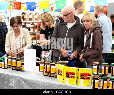 Frosts Chili Festival in Frosts Gartencenter, Willington in der Nähe von Bedford, UK. 21. August 2016. Bildnachweis: KEITH MAYHEW/Alamy Live-Nachrichten Stockfoto