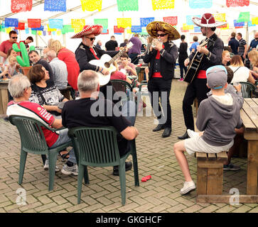 Frosts Chili Festival in Frosts Gartencenter, Willington in der Nähe von Bedford, UK. 21. August 2016. Bildnachweis: KEITH MAYHEW/Alamy Live-Nachrichten Stockfoto