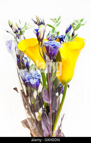 Bouquet aus Blüten der frische gelbe Calla Lilie, blauer Lisianthus, Blätter grün Wolfsmilch isolierten auf weißen Hintergrund Stockfoto