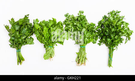 Set aus frisch geschnittenen grünen Kräutern (Sellerie, Kresse, Koriander, Petersilie) auf weißem Hintergrund Stockfoto