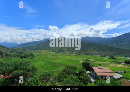 Punakha Tal, Bhutan Stockfoto