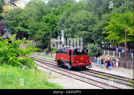 Der Dampf Lok touristische Zug von Anduze zurückweichenden Autos hängen und von Saint-Jean-du-Gard. Stockfoto