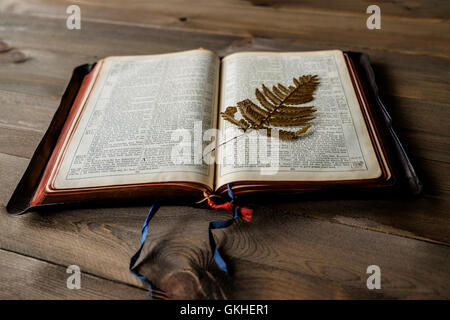 Vintage Bibel auf hölzernen Hintergrund mit Fokus auf alten gepressten Farn Blatt auf Seite zu öffnen. Bibel ist nicht Marke Version. Stockfoto