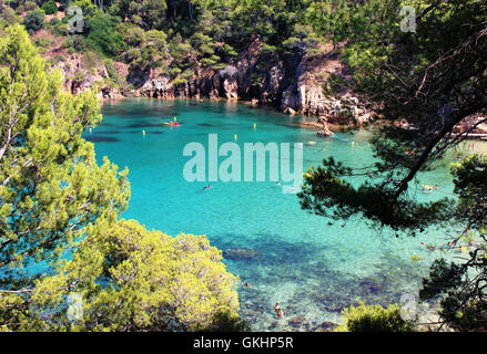 GIRONA/Spanien - 13. August 2016: Leute schwimmen, umgeben vom Grün in Cala Aiguablava in der Nähe von Begur an der Costa Brava Stockfoto