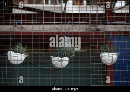 UK-London: Arbeiter harte Hüte als Hängeaufbewahrung für Blumen am Eingang auf Tottenham Court Road Cross Schiene verwendet werden. Aug16 Stockfoto