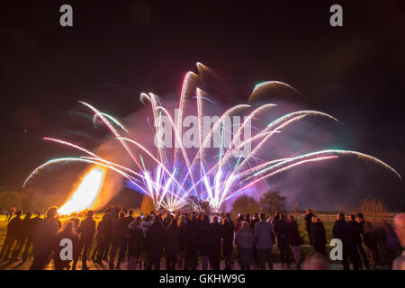 Spektakuläre und farbenfrohe Feuerwerke, die vor einem dunklen Herbsthimmel in Lancashire stehen und die Guy Fawkes Night feiern Stockfoto