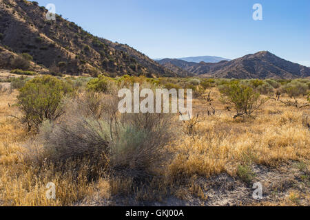 Staatliches Naturschutzgebiet in der Nähe von Gorman Kalifornien mit Wiesen und Hügeln. Stockfoto