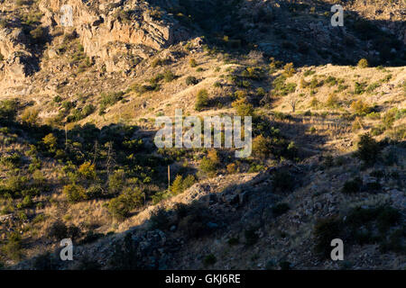 Sonnenlicht in der East Fork des Sabino Canyon in den Santa Catalina Mountains. Pusch Ridge Wilderness, Arizona Stockfoto