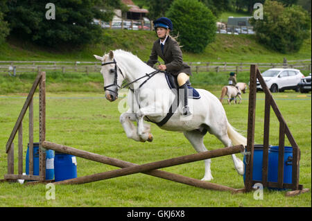 Junges Mädchen & ihr Pony springen Zäune in Golden Valley Ponyclub, Baskerville Hall, Clyro, Powys, Wales, UK Stockfoto