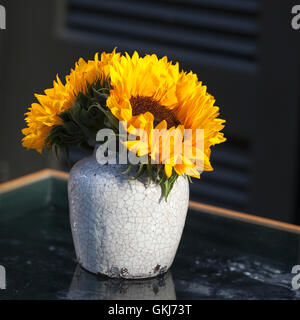 Strauß Sonnenblumen in alten Keramik Krug gegen eine weiße Holzwand. Stockfoto