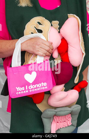 NHS-Kampagne, die Besucher registrieren für Organspende auf Southport Flower Show, 2016, Merseyside, UK Stockfoto