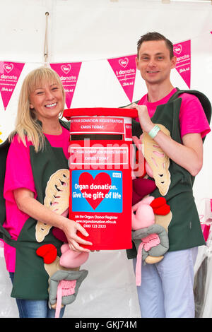 NHS-Kampagne, die Besucher registrieren für Organspende auf Southport Flower Show, 2016, Merseyside, UK Stockfoto