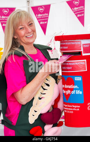 NHS-Kampagne, die Besucher registrieren für Organspende auf Southport Flower Show, 2016, Merseyside, UK Stockfoto