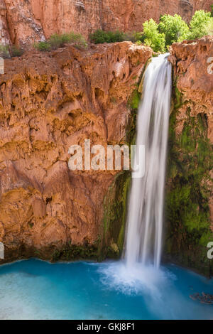 Mooney Fälle stürzt in einen tief blau-grün-Pool umgeben von roten Travertin Klippen auf der Havasupai Reservierung, Grand Canyon. Stockfoto