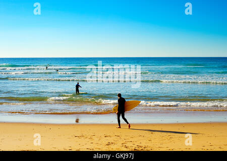 Silhouette der Surfer mit Surfbrettern am Ocean Beach. Stockfoto