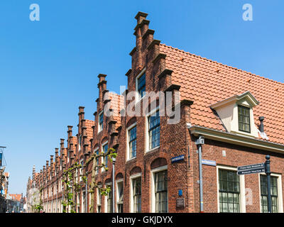 Zeile trat Giebel der alten Häuser in Groot Heiligland Straße in der Altstadt der Stadt Haarlem in Holland, Niederlande Stockfoto