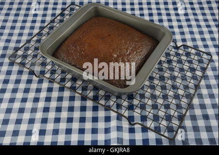 Schokoladenkuchen-Schicht in Pfanne auf Rack-Kühlung Stockfoto