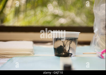 Tattoo-Tinte wirbeln in der Tasse Wasser Stockfoto