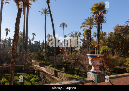 Jardín de Las Damas, Real Alcázar Gärten, Sevilla, Spanien Stockfoto