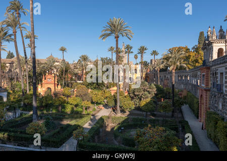 Jardín del Cenador De La Alkoven, Real Alcázar Gärten, Sevilla, Spanien Stockfoto