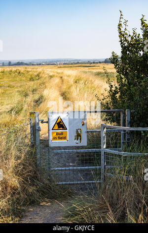Ein Tor auf der "Saxon Shore Weg" Fußweg auf Oare bei Faversham Kent mit Schild mit der Aufschrift Bulls im Feld. Stockfoto