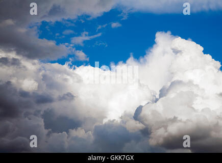 Cumulus-Wolken schweben auf den dunkelblauen Himmel Stockfoto