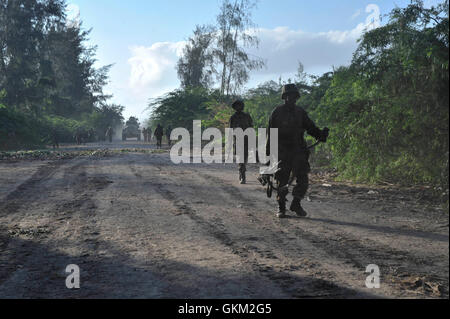 Vormarsch der Truppen zu Fuß in Richtung der Stadt Janaale am 14. Februar. Ugandische Truppen advanced als Teil der Mission der Afrikanischen Union in Somalia (AMISOM), mit Truppen aus der somalischen Armee (SNA) auf drei Städte in der Region der unteren Shabelle von Somalia in einer Operation mit dem Codenamen "Boot auf dem Boden" am 14. Februar. Alle drei Städte, Janaale, Aw Dheegle und Barrire, fiel auf die Alliierten mit wenig Widerstand von der Terrorgruppe Al Shabab. AU UN IST FOTO / TOBIN JONES Stockfoto
