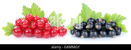 Rote und schwarze Johannisbeere Johannisbeere Beeren Früchte Obst isoliert auf weiss Stockfoto