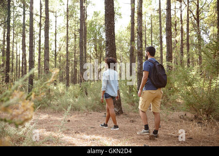 Zwei Freunde entdecken eine Kiefer-Baum-Plantage in der späten Nachmittagssonne vorausschauend beim tragen legere Kleidung Stockfoto