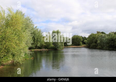 Lokalen Naturschutzgebiet Molesey Heath, West Molesey, Surrey, England, Großbritannien, Vereinigtes Königreich, Europa Stockfoto