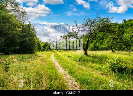 Winter trifft zusammengesetzte Sommerlandschaft. Kurve Straße durch ländlichen Tal mit Bäumen und grünen Rasen zu Wald in Bergen Stockfoto