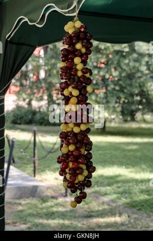 Fest der Kirschenfrucht in Kjustendil, Rechnungsvorlage, ihre Produktion rohem Obst, Bulgarien Stockfoto