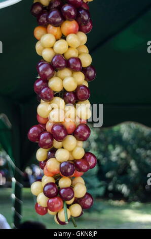 Fest der Kirschenfrucht in Kjustendil, Rechnungsvorlage, ihre Produktion rohem Obst, Bulgarien Stockfoto