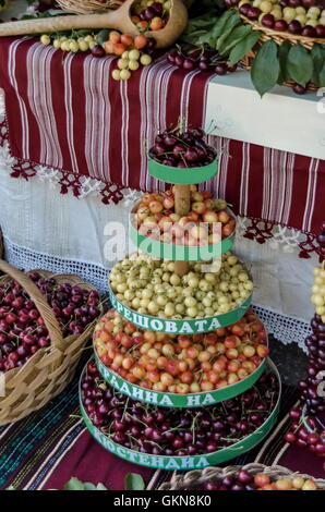 Fest der Kirschenfrucht in Kjustendil, Rechnungsvorlage, ihre Produktion rohem Obst, Bulgarien Stockfoto