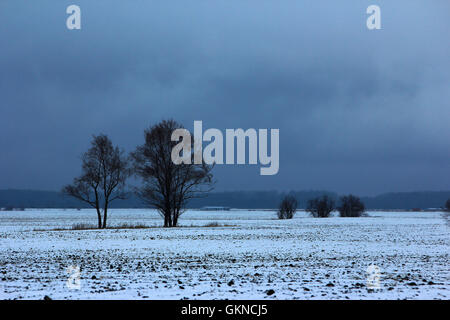 Winter-Szene in Hulun Buir, Innere Mongolei Stockfoto
