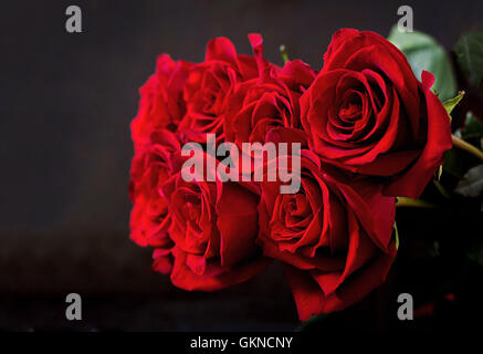Strauß roter Rosen auf schwarzem Hintergrund. Stockfoto