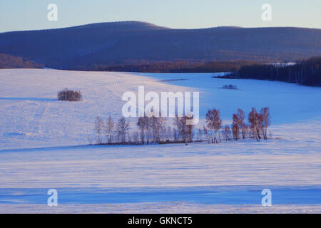 Winter-Szene in Hulun Buir, Innere Mongolei Stockfoto