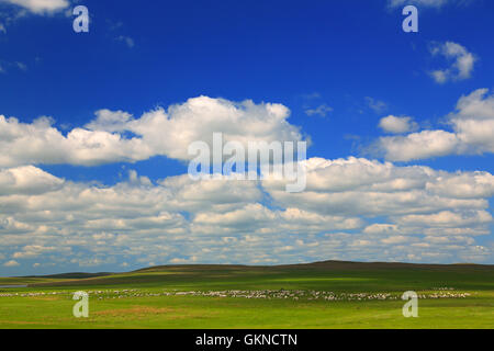 Hulun Buir Grünland Innere Mongolei Ranch Stockfoto