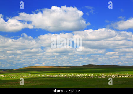 Hulun Buir Grünland Innere Mongolei Ranch Stockfoto