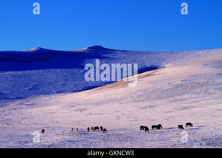Winter-Szene in Hulun Buir, Innere Mongolei Stockfoto