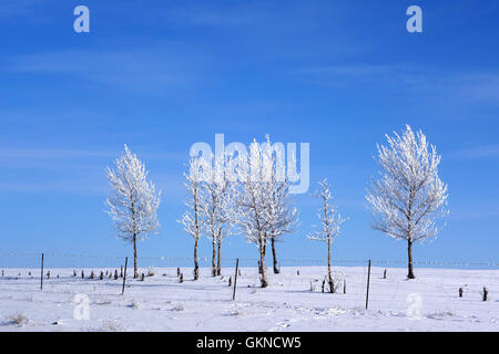 Winter-Szene in Hulun Buir, Innere Mongolei Stockfoto